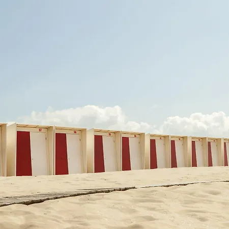 Quaint Apartment In Bergen Aan Zee Near Beach *